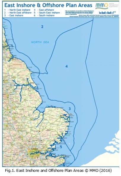 East Inshore & Offshore Pla Areas