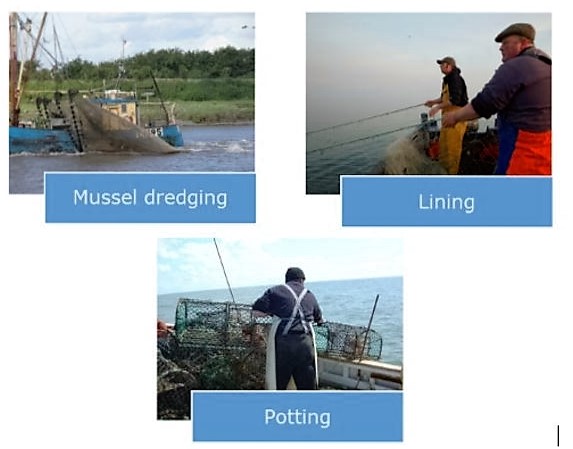 Mussel - Lining - Potting update